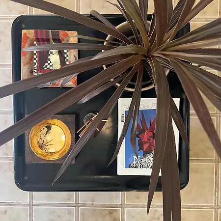 Casa Terrazza Art House In Piazza بيت للعطل